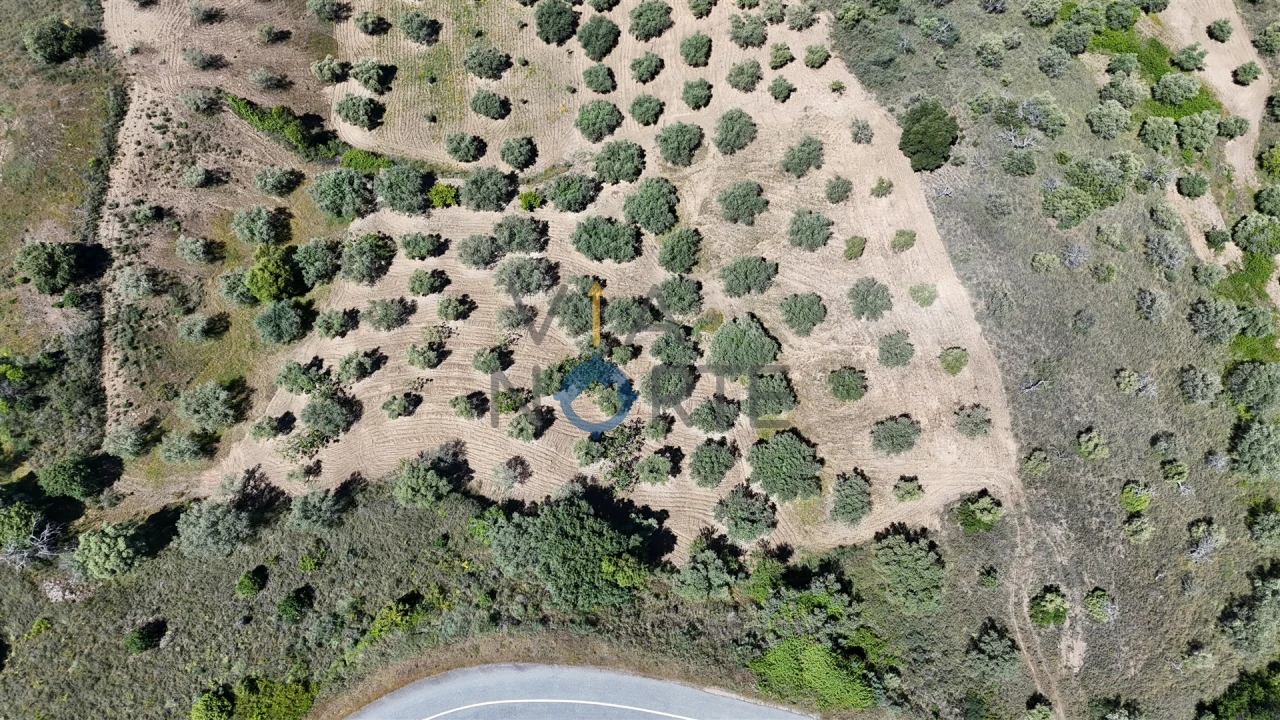 Terreno Agricola ou Rústico para Venda em Vilares de Vilariça Foto 2