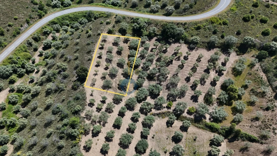 Terreno Agricola ou Rústico para Venda em Vilares de Vilariça