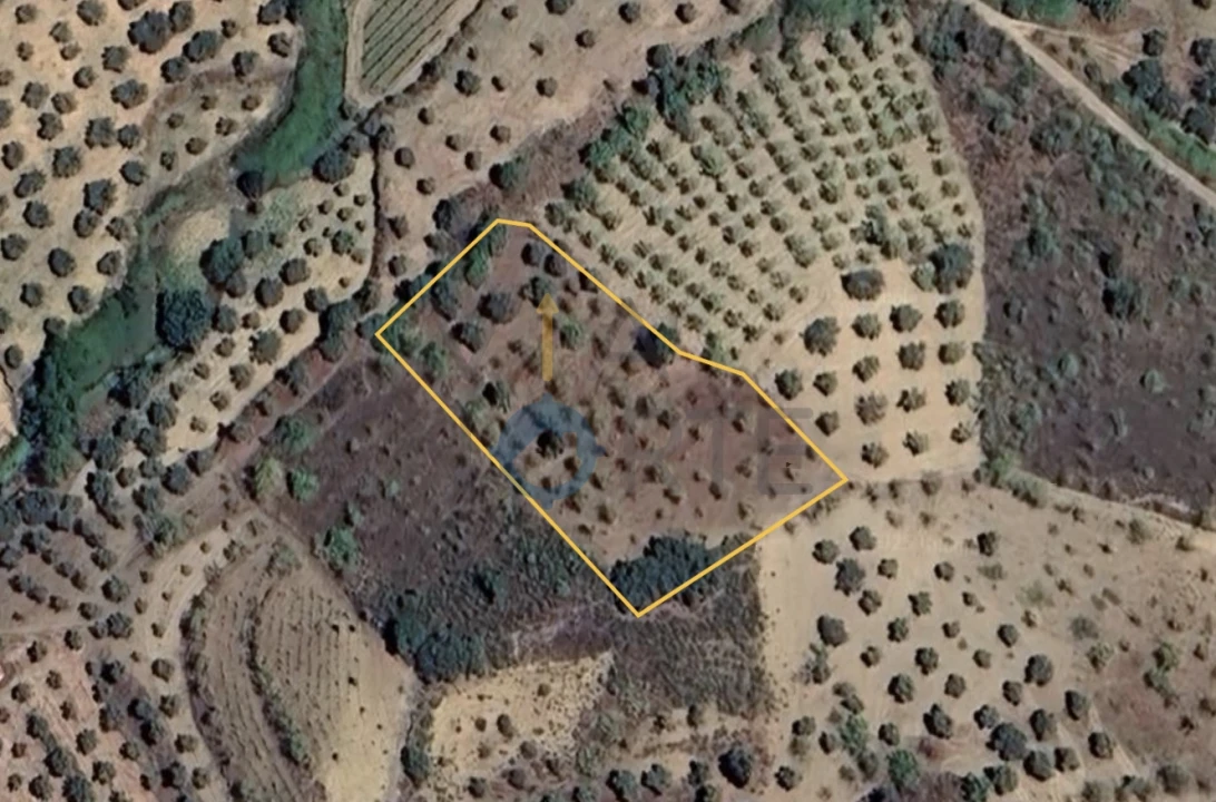 Terreno Agricola ou Rústico para Venda em Vilares de Vilariça Foto 1