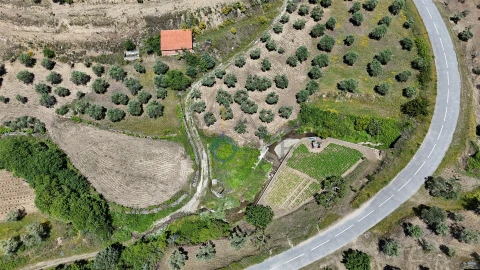 Terreno Agricola ou Rústico para Venda em Vilares de Vilariça