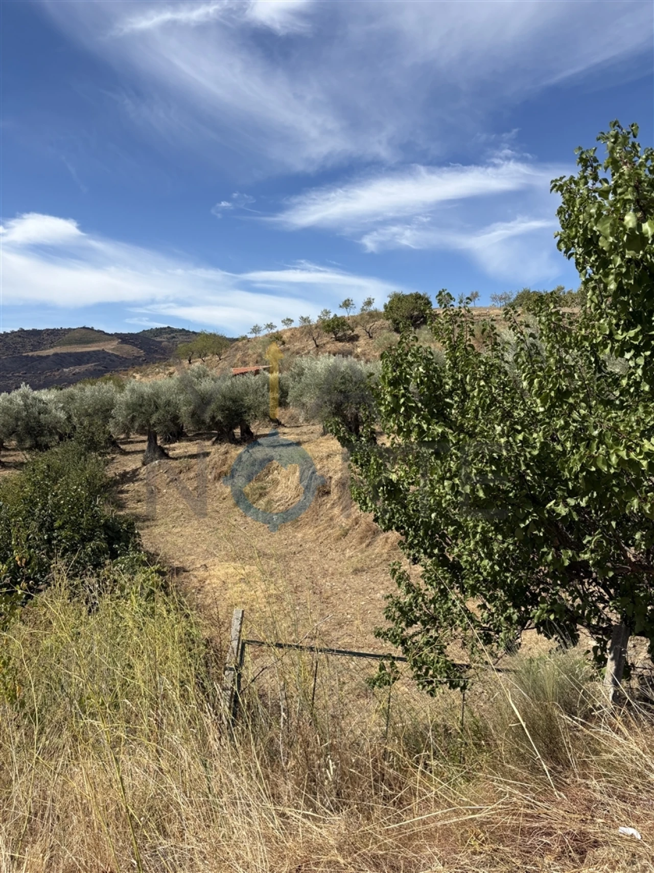 Terreno Agricola ou Rústico para Venda em Vilares de Vilariça Foto 2