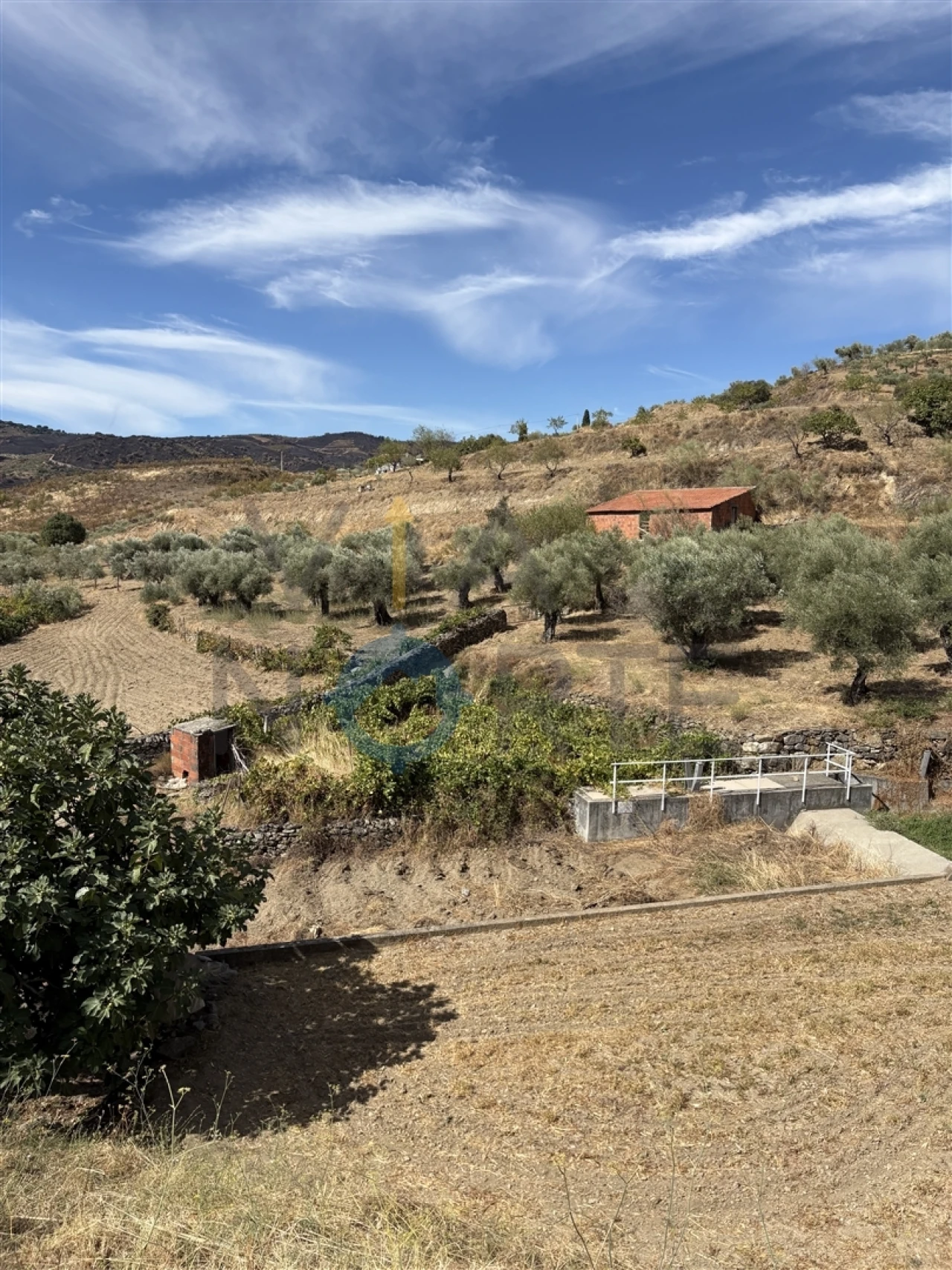 Terreno Agricola ou Rústico para Venda em Vilares de Vilariça Foto 3