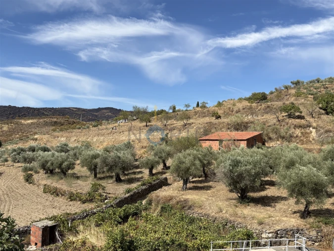 Terreno Agricola ou Rústico para Venda em Vilares de Vilariça
