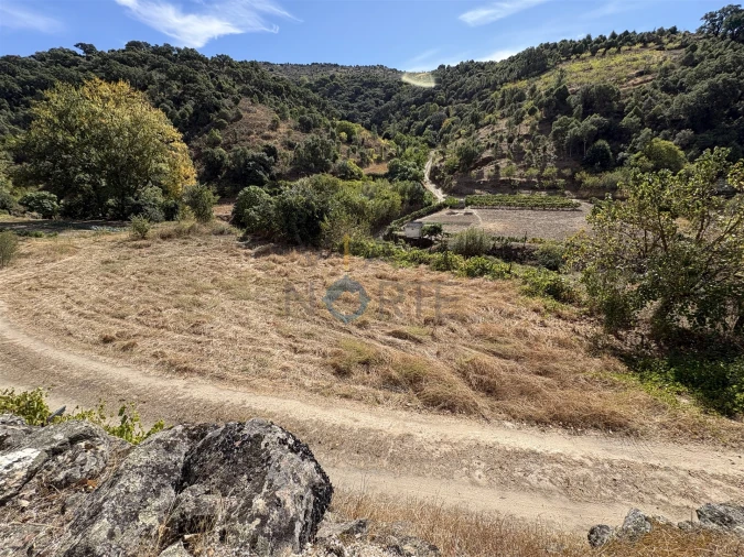 Terreno Agricola ou Rústico para Venda em Vilares de Vilariça Foto 1