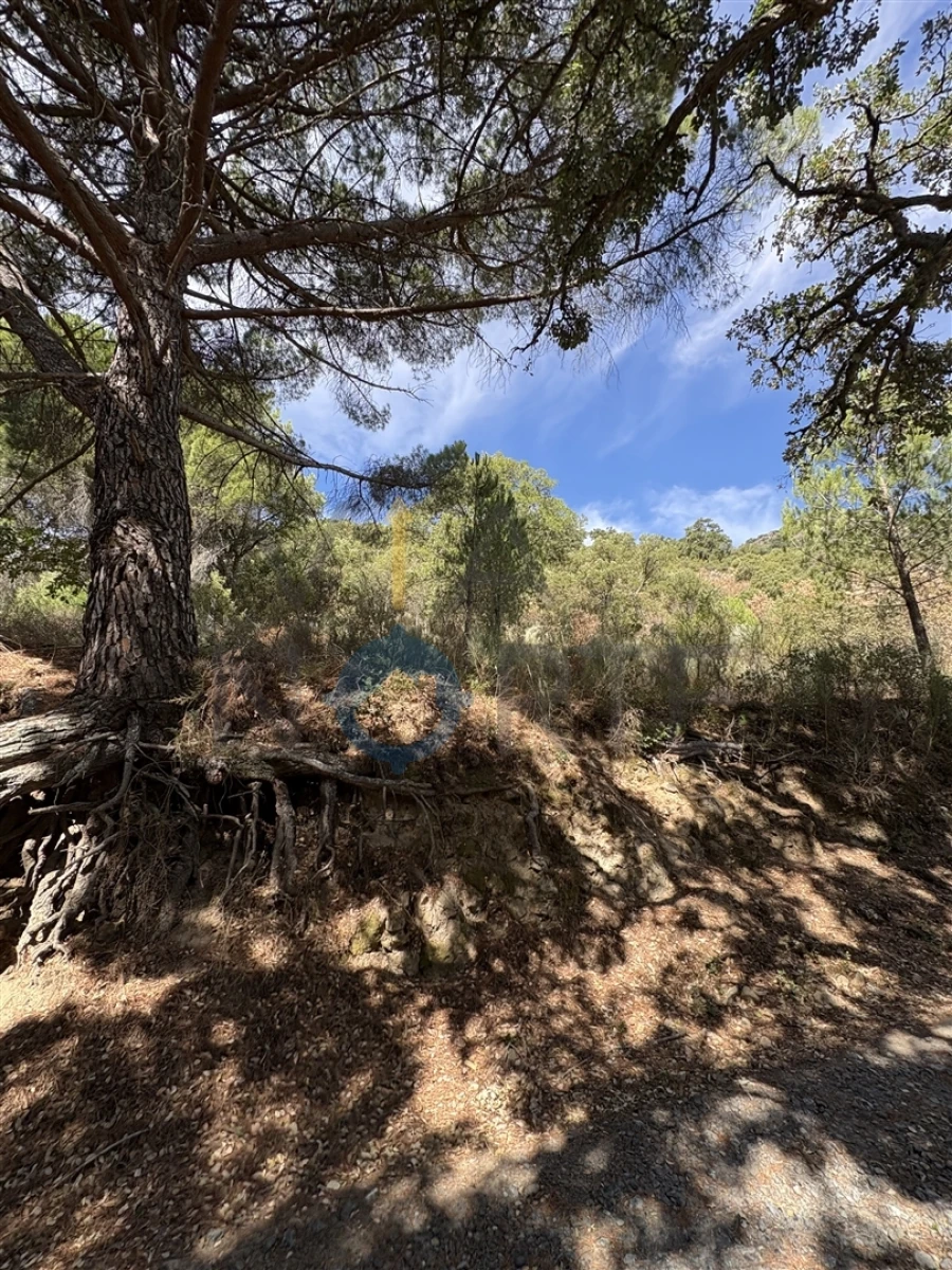 Terreno Agricola ou Rústico para Venda em Vilares de Vilariça Foto 4