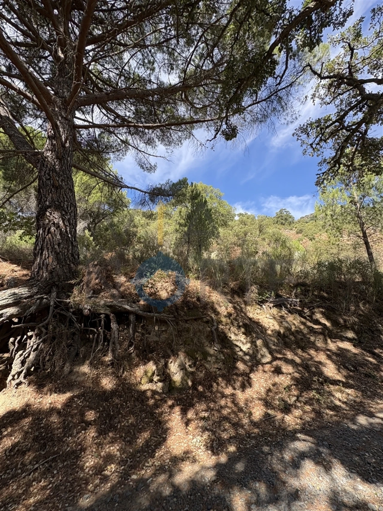 Terreno Agricola ou Rústico para Venda em Vilares de Vilariça Foto 4