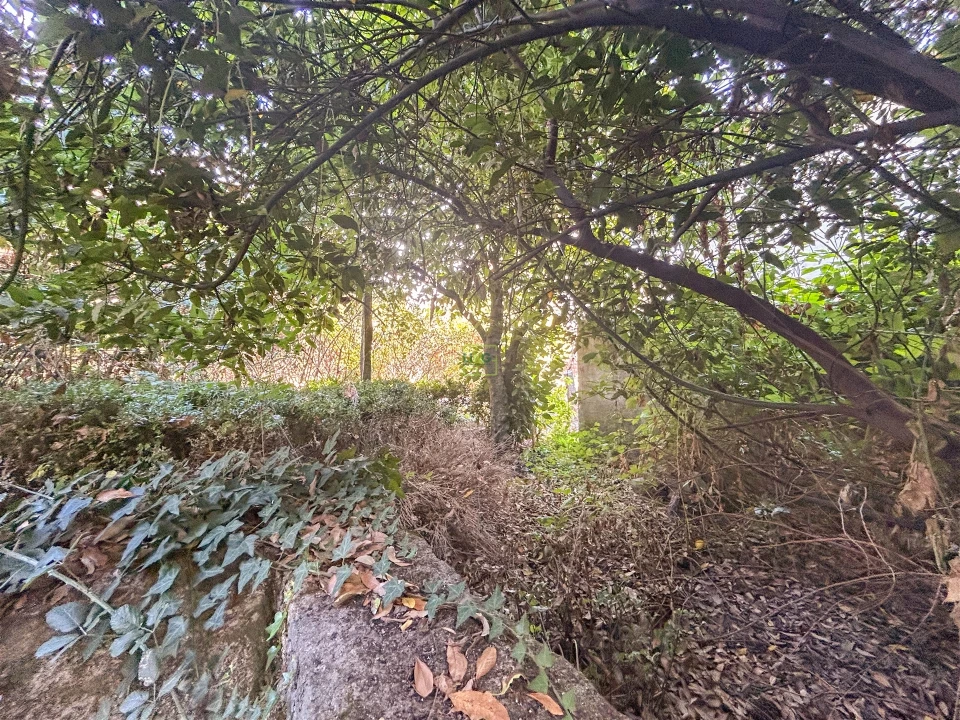 Moradia T9 para Venda em Fundão, Valverde, Donas, A. Joanes, A. Nova Cabo Foto 52