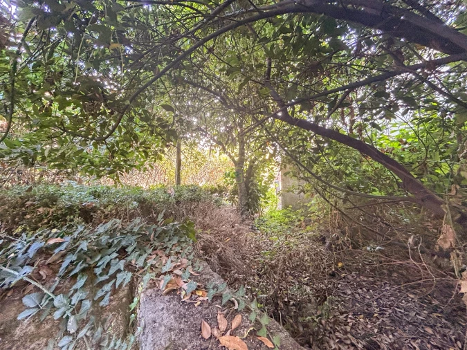 Moradia T9 para Venda em Fundão, Valverde, Donas, A. Joanes, A. Nova Cabo Foto 52