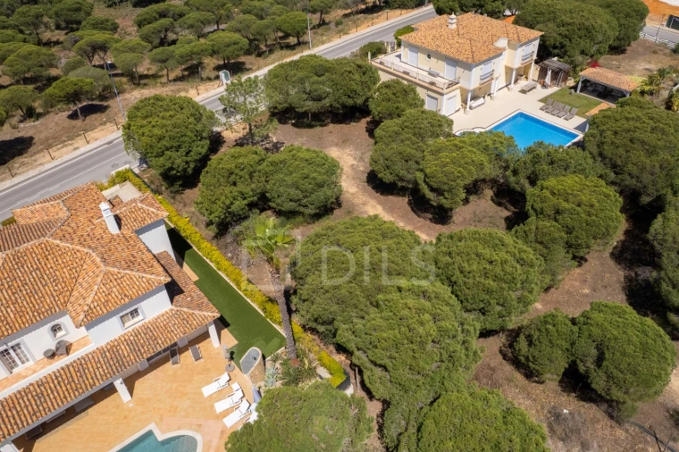 Terreno para Venda em Almancil Foto 3