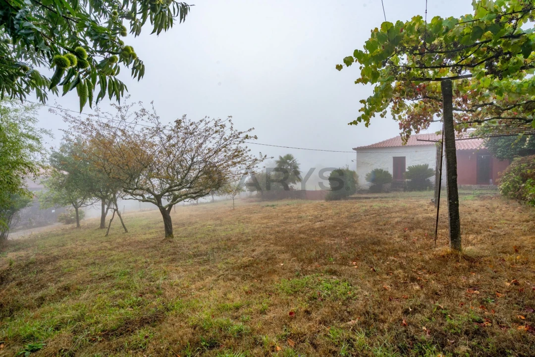 Moradia T2 para Venda em Labrujó, Rendufe e Vilar do Monte Foto 7