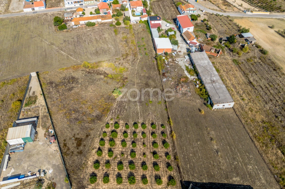 Moradia T6 para Venda em Fazendas de Almeirim Foto 51