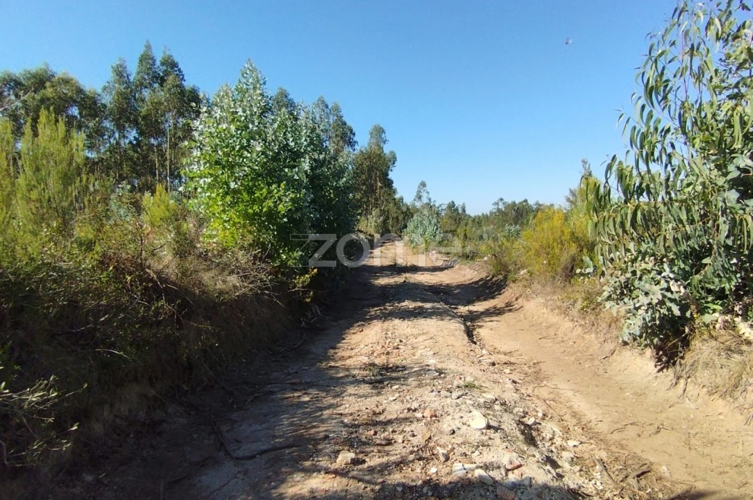 Terreno para Venda em Marrazes e Barosa Foto 6