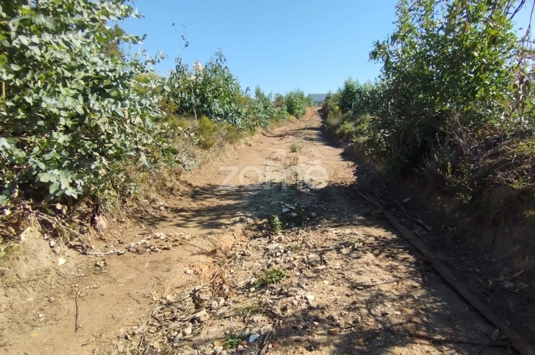 Terreno para Venda em Marrazes e Barosa Foto 5