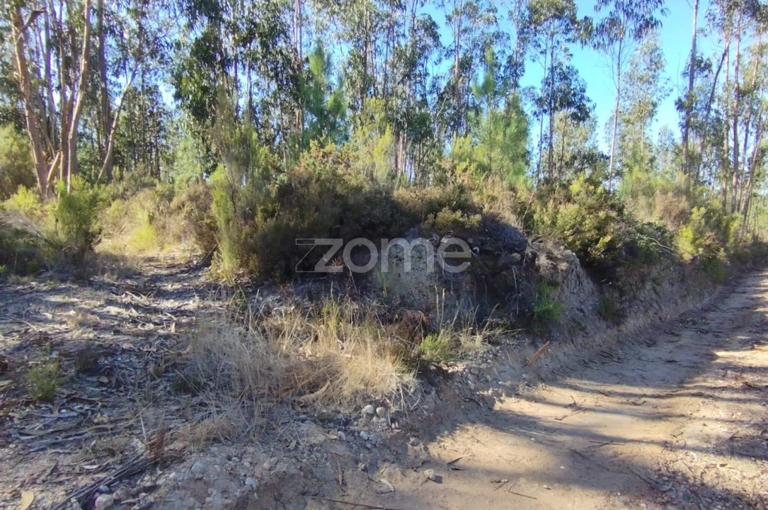 Terreno para Venda em Marrazes e Barosa Foto 1