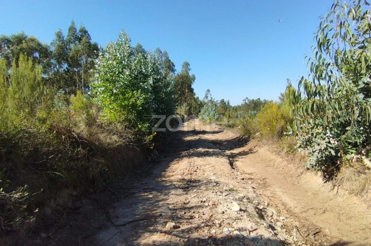 Terreno para Venda em Marrazes e Barosa Foto 6