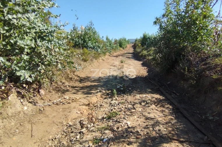Terreno para Venda em Marrazes e Barosa Foto 5