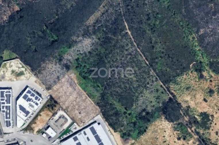 Terreno para Venda em Marrazes e Barosa Foto 10