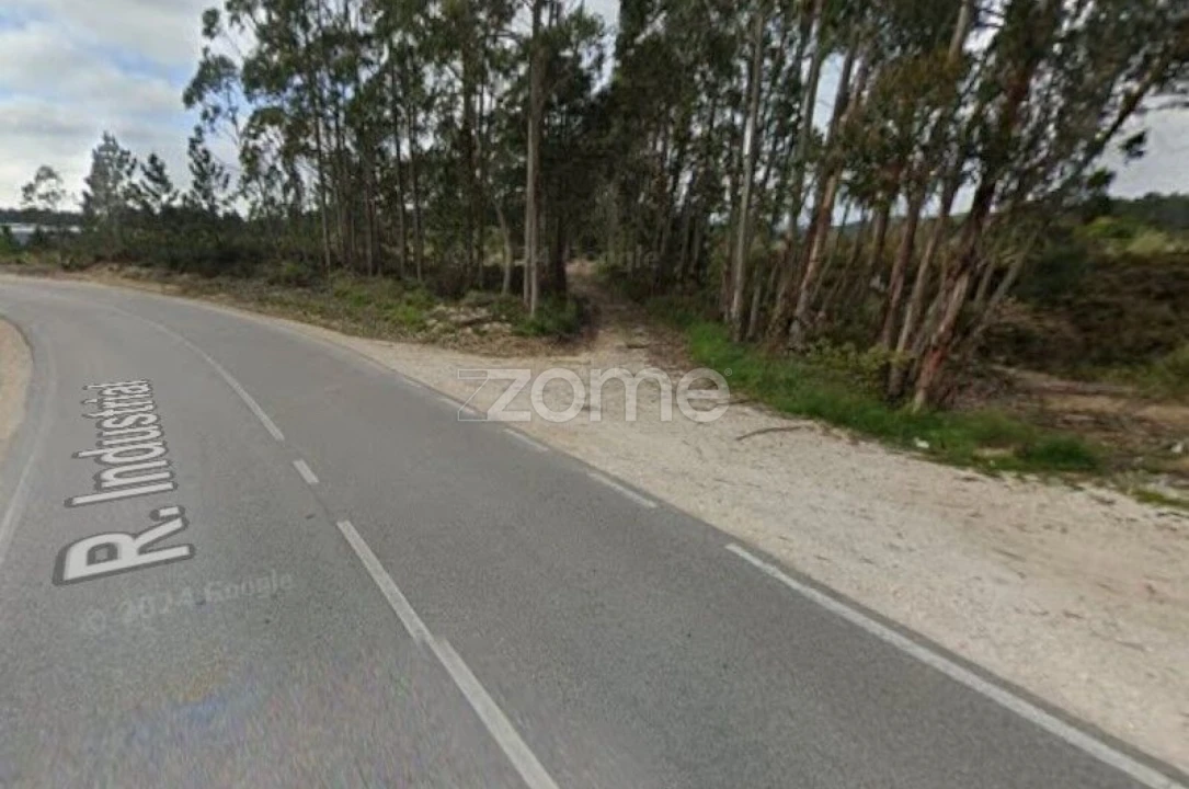Terreno para Venda em Marrazes e Barosa Foto 13