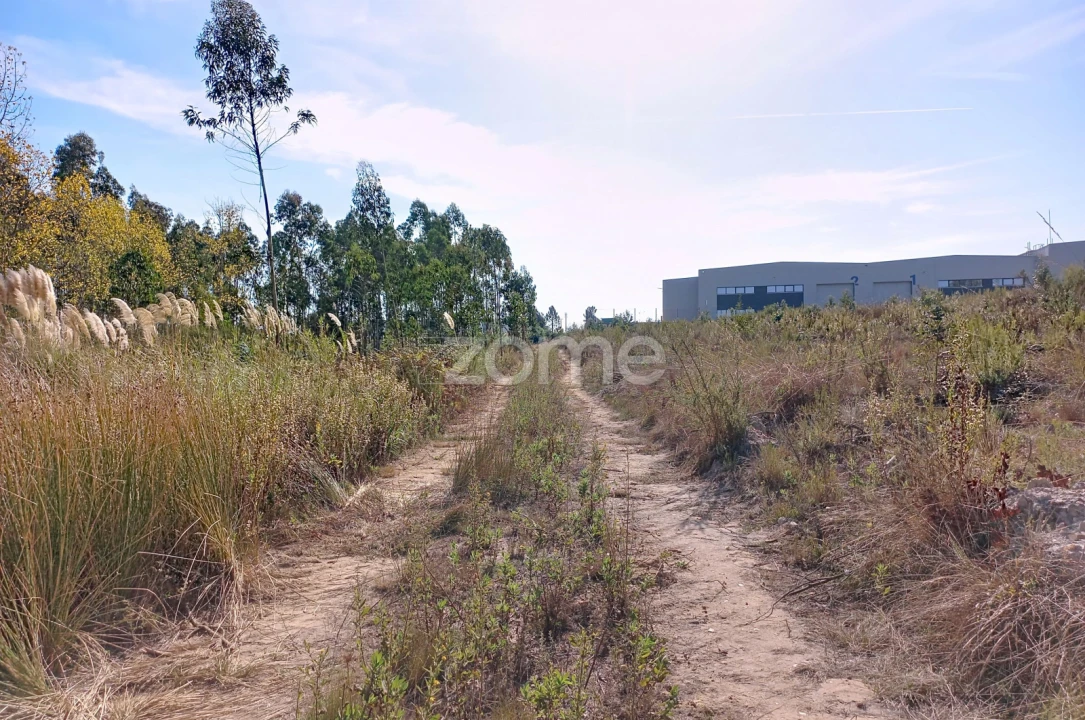 Terreno para Venda em Marrazes e Barosa Foto 3