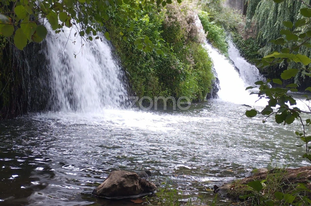 Terreno para Venda em Marrazes e Barosa Foto 19