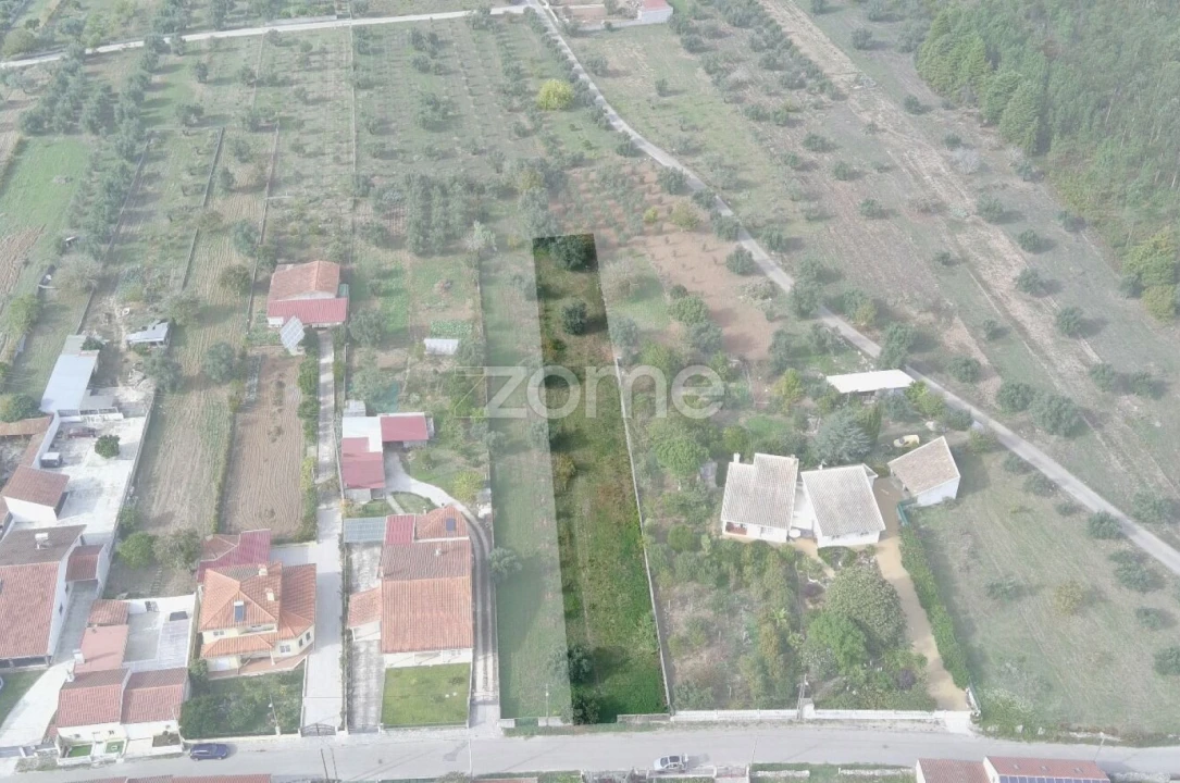 Terreno para Venda em Cantanhede e Pocariça Foto 19