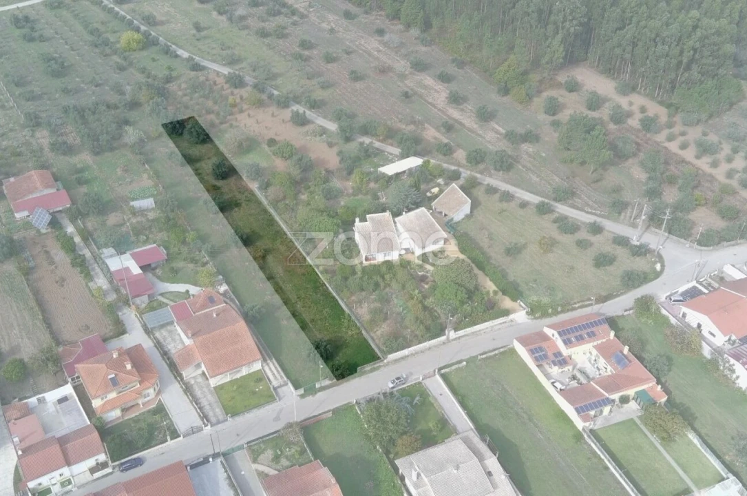 Terreno para Venda em Cantanhede e Pocariça Foto 22