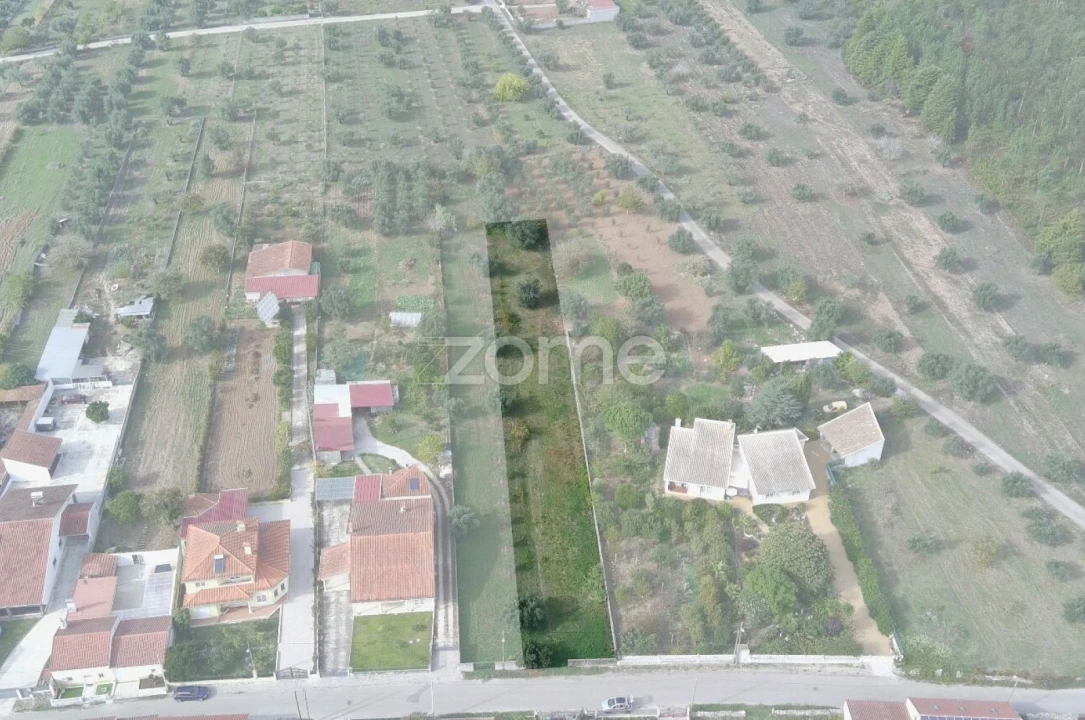 Terreno para Venda em Cantanhede e Pocariça Foto 27