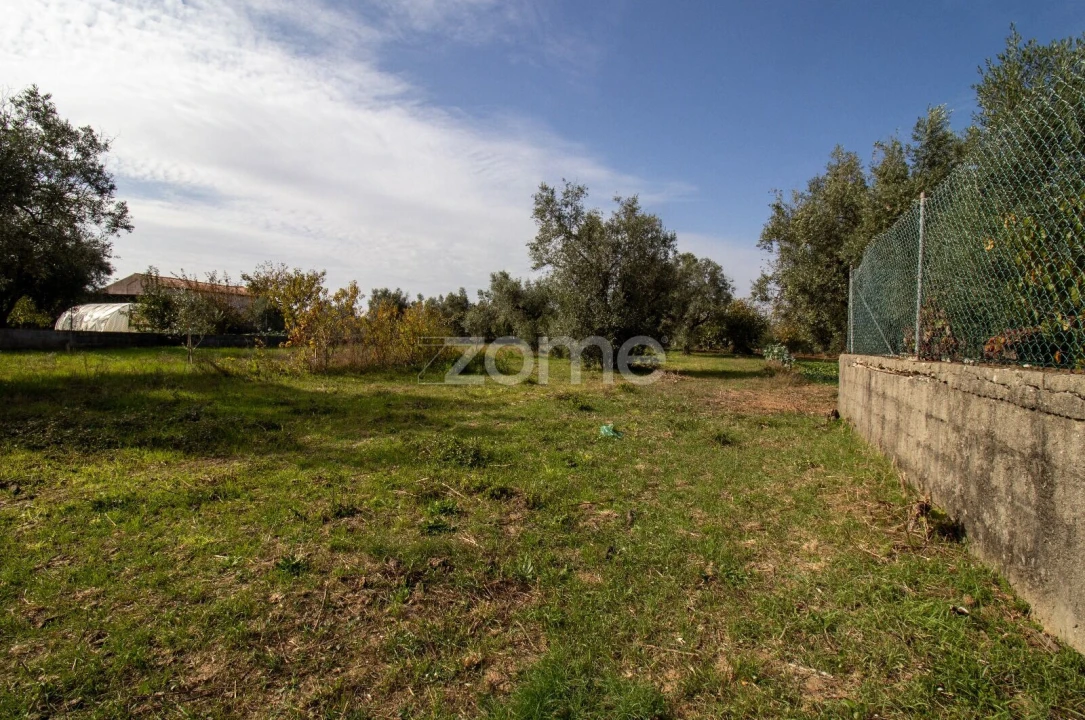 Terreno para Venda em Cantanhede e Pocariça Foto 25
