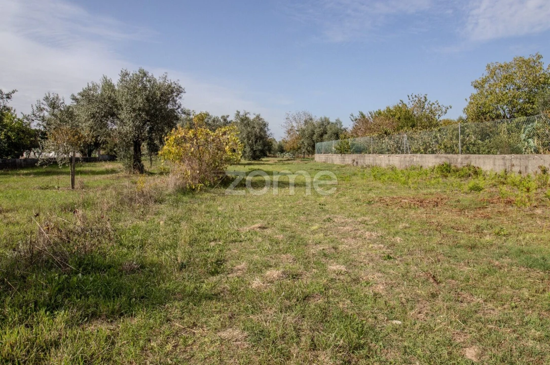 Terreno para Venda em Cantanhede e Pocariça Foto 31