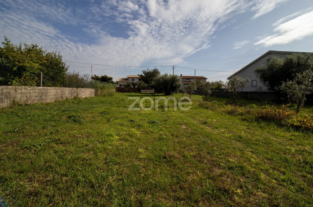 Terreno para Venda em Cantanhede e Pocariça Foto 13