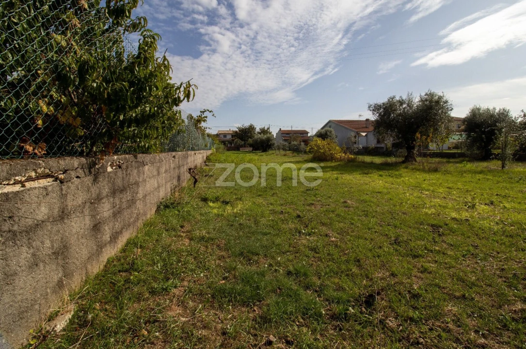 Terreno para Venda em Cantanhede e Pocariça Foto 14