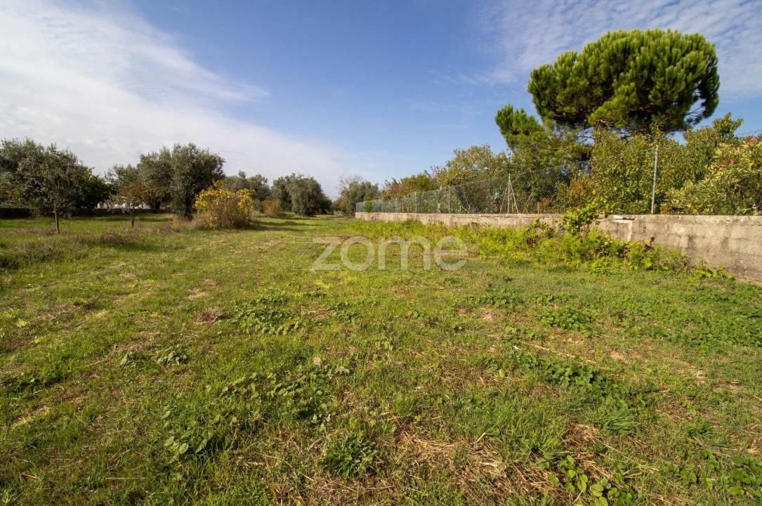 Terreno para Venda em Cantanhede e Pocariça Foto 15