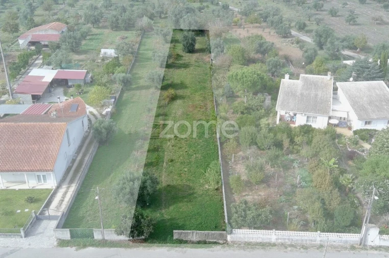 Terreno para Venda em Cantanhede e Pocariça Foto 18