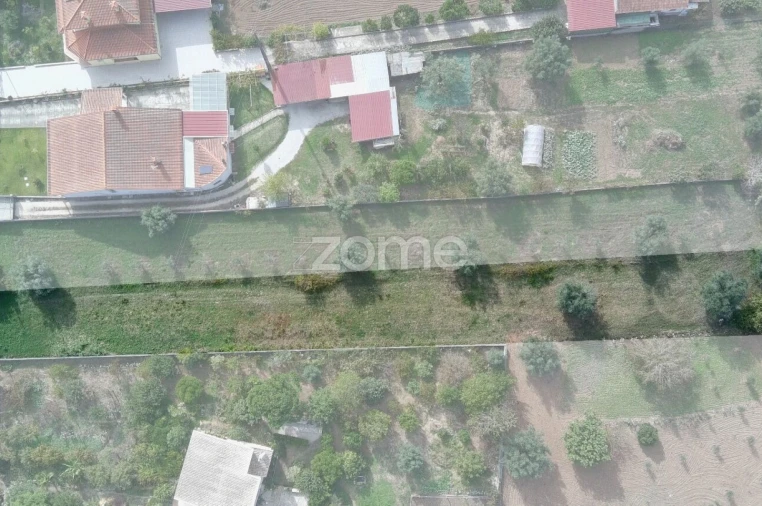 Terreno para Venda em Cantanhede e Pocariça Foto 17