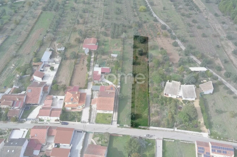 Terreno para Venda em Cantanhede e Pocariça Foto 20