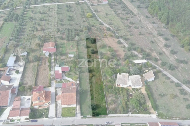 Terreno para Venda em Cantanhede e Pocariça Foto 19