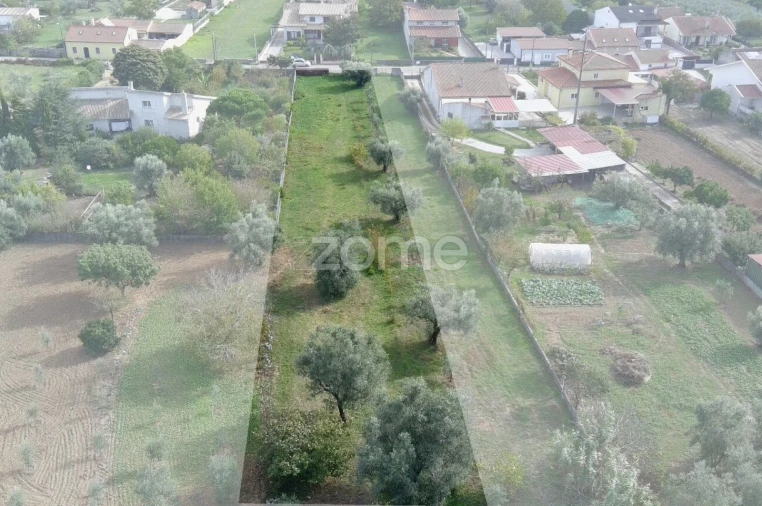 Terreno para Venda em Cantanhede e Pocariça Foto 21