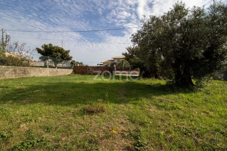 Terreno para Venda em Cantanhede e Pocariça Foto 28