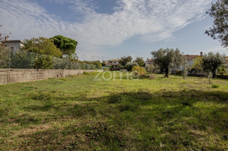 Terreno para Venda em Cantanhede e Pocariça Foto 32