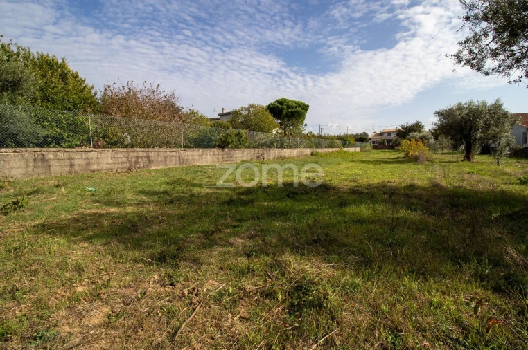 Terreno para Venda em Cantanhede e Pocariça Foto 12
