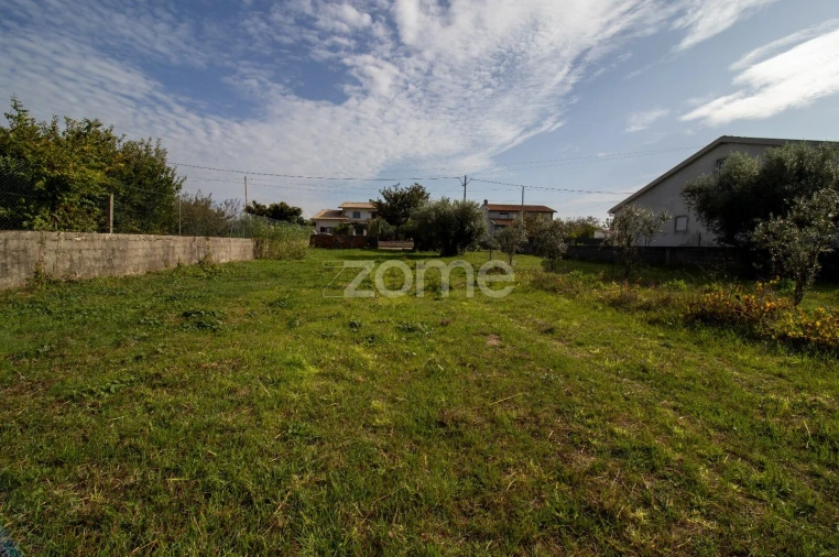 Terreno para Venda em Cantanhede e Pocariça Foto 13