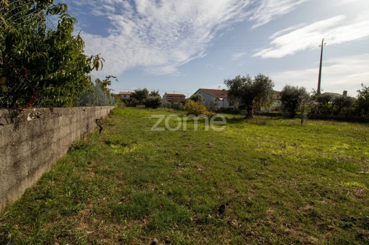 Terreno para Venda em Cantanhede e Pocariça Foto 2