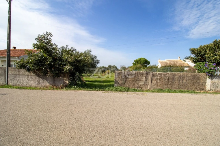 Terreno para Venda em Cantanhede e Pocariça Foto 3