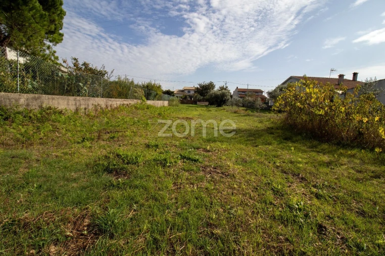 Terreno para Venda em Cantanhede e Pocariça Foto 4