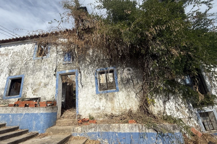Terreno para Venda em Carvoeiro