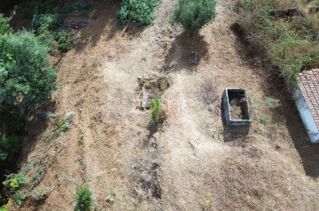 Terreno para Venda em Carvoeiro Foto 9