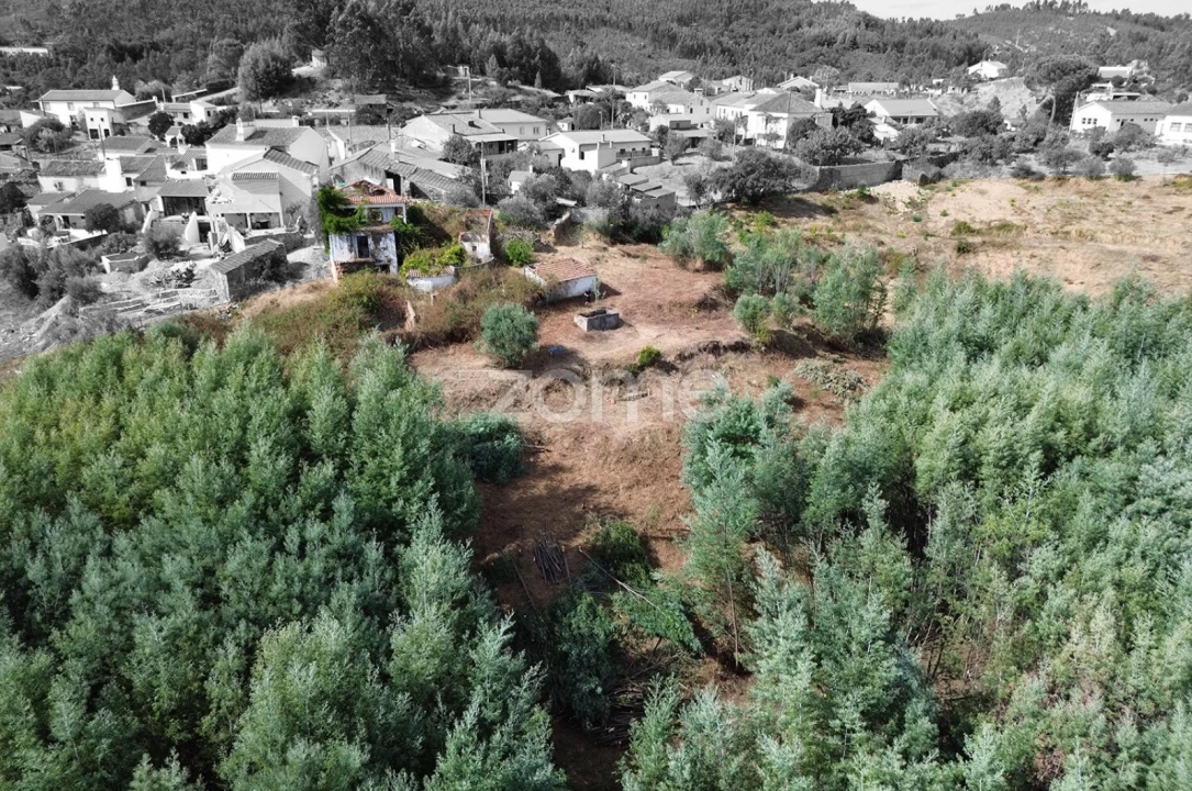 Terreno para Venda em Carvoeiro Foto 10