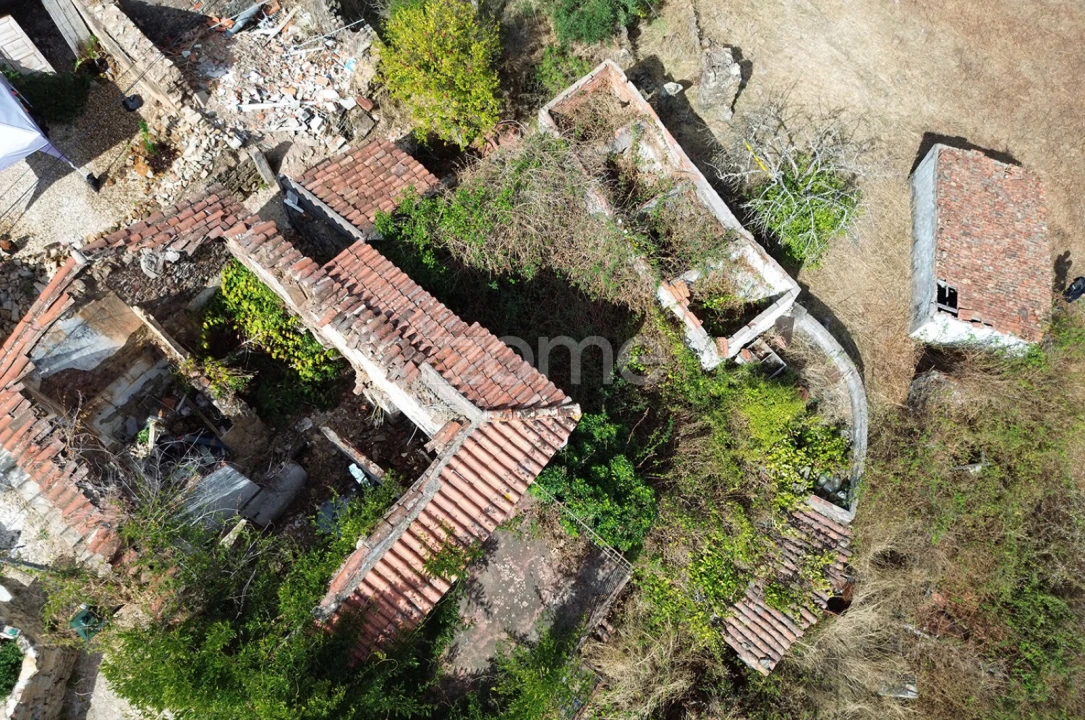 Terreno para Venda em Carvoeiro Foto 13