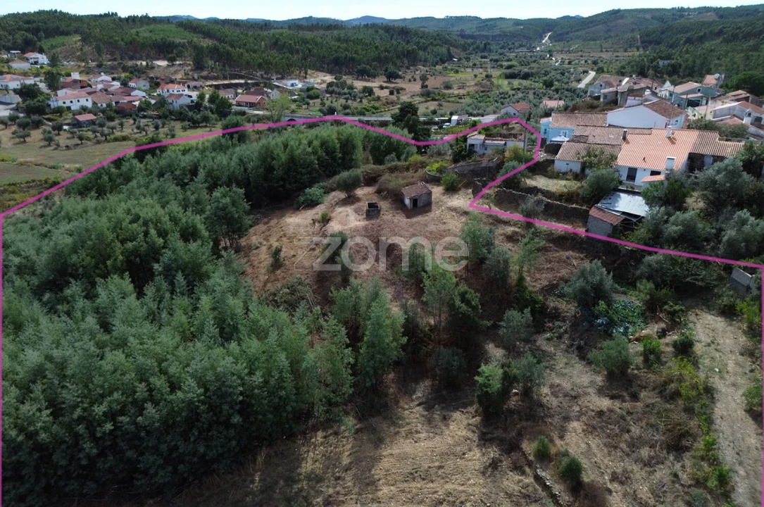 Terreno para Venda em Carvoeiro Foto 17