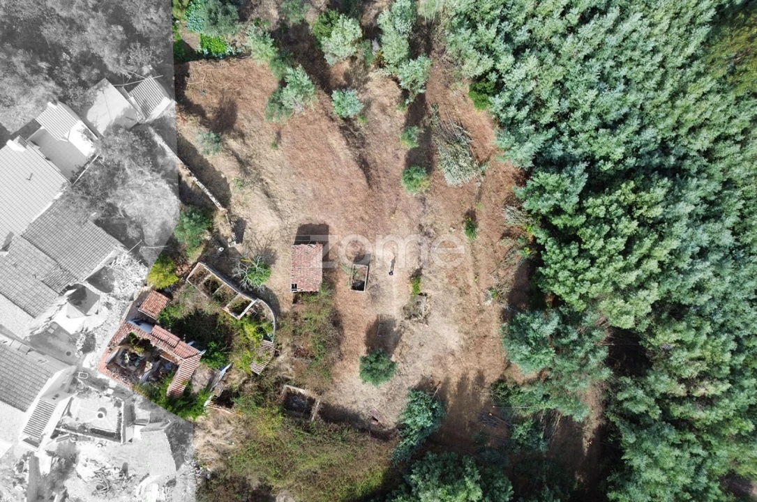 Terreno para Venda em Carvoeiro Foto 18